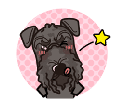 iinu - Kerry Blue Terrier sticker #11658808