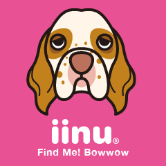 iinu - Clumber Spaniel