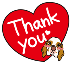 iinu - Clumber Spaniel sticker #11659070