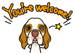 iinu - Clumber Spaniel sticker #11659071
