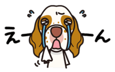 iinu - Clumber Spaniel sticker #11659073