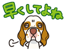 iinu - Clumber Spaniel sticker #11659078