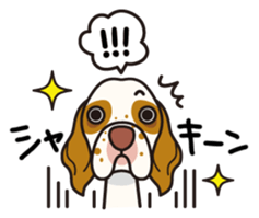 iinu - Clumber Spaniel sticker #11659080