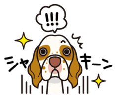 iinu - Clumber Spaniel sticker #11659080