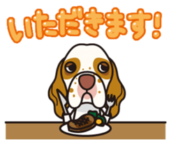 iinu - Clumber Spaniel sticker #11659081