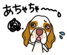 iinu - Clumber Spaniel sticker #11659083