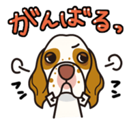 iinu - Clumber Spaniel sticker #11659089