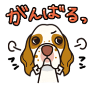 iinu - Clumber Spaniel sticker #11659089