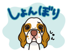 iinu - Clumber Spaniel sticker #11659095