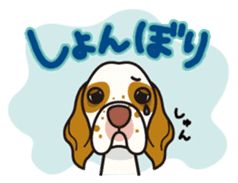 iinu - Clumber Spaniel sticker #11659095
