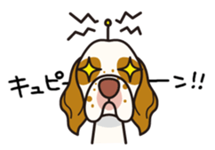 iinu - Clumber Spaniel sticker #11659096