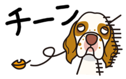 iinu - Clumber Spaniel sticker #11659098