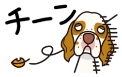 iinu - Clumber Spaniel sticker #11659098