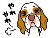 iinu - Clumber Spaniel sticker #11659099