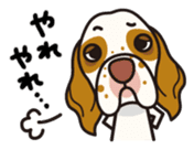 iinu - Clumber Spaniel sticker #11659099