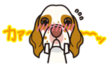 iinu - Clumber Spaniel sticker #11659101