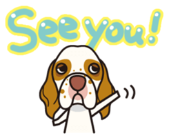 iinu - Clumber Spaniel sticker #11659103