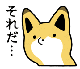 Raccoon dog & Fox sticker #11659913