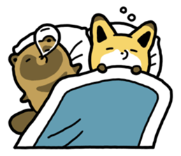 Raccoon dog & Fox sticker #11659942