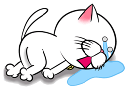 Stupid Fat White Cat sticker #11660830