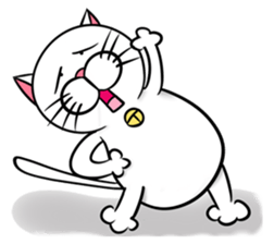 Stupid Fat White Cat sticker #11660840