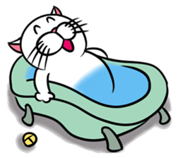 Stupid Fat White Cat sticker #11660842
