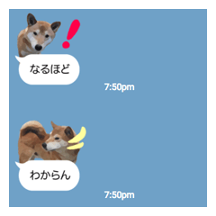 Sticker Shibainu(vol7)