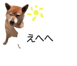Sticker Shibainu(vol7) sticker #11661068