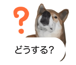 Sticker Shibainu(vol7) sticker #11661077