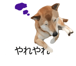 Sticker Shibainu(vol7) sticker #11661085
