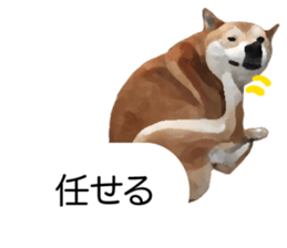 Sticker Shibainu(vol7) sticker #11661090