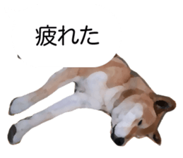 Sticker Shibainu(vol7) sticker #11661098