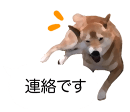 Sticker Shibainu(vol7) sticker #11661101