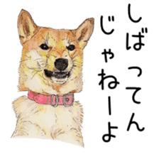 Favorite parts of SHIBAINU 8 sticker #11663428