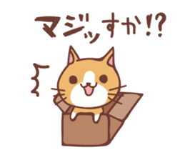 Cat Diary ~Daily Lives of Cats~ sticker #11666827