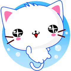 Beiya Cat (Special Edition)