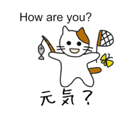 [English~Japanese] Translator Cat sticker #11668952