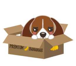 Beagle's stickers "KINAKOMBU" Part2 sticker #11669595