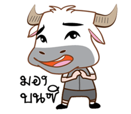 Buffalo with with sticker #11671483