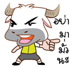 Buffalo with with sticker #11671484