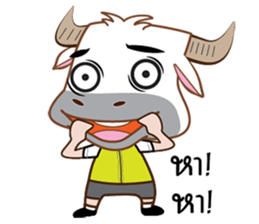 Buffalo with with sticker #11671487