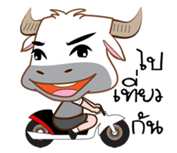 Buffalo with with sticker #11671492