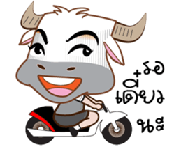 Buffalo with with sticker #11671500