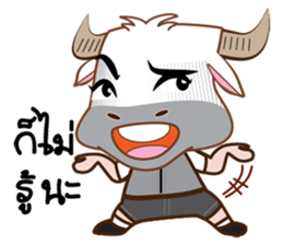 Buffalo with with sticker #11671502