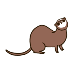 Daily of the ferret sticker #11672304