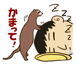 Daily of the ferret sticker #11672313