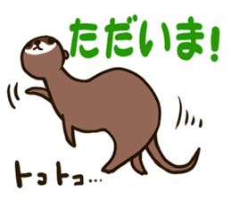 Daily of the ferret sticker #11672319