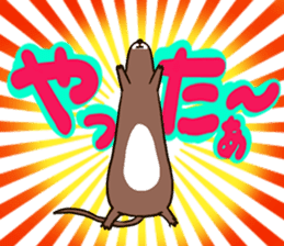Daily of the ferret sticker #11672320