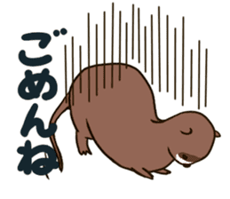 Daily of the ferret sticker #11672326