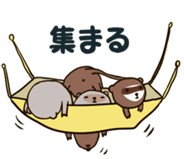Daily of the ferret sticker #11672328